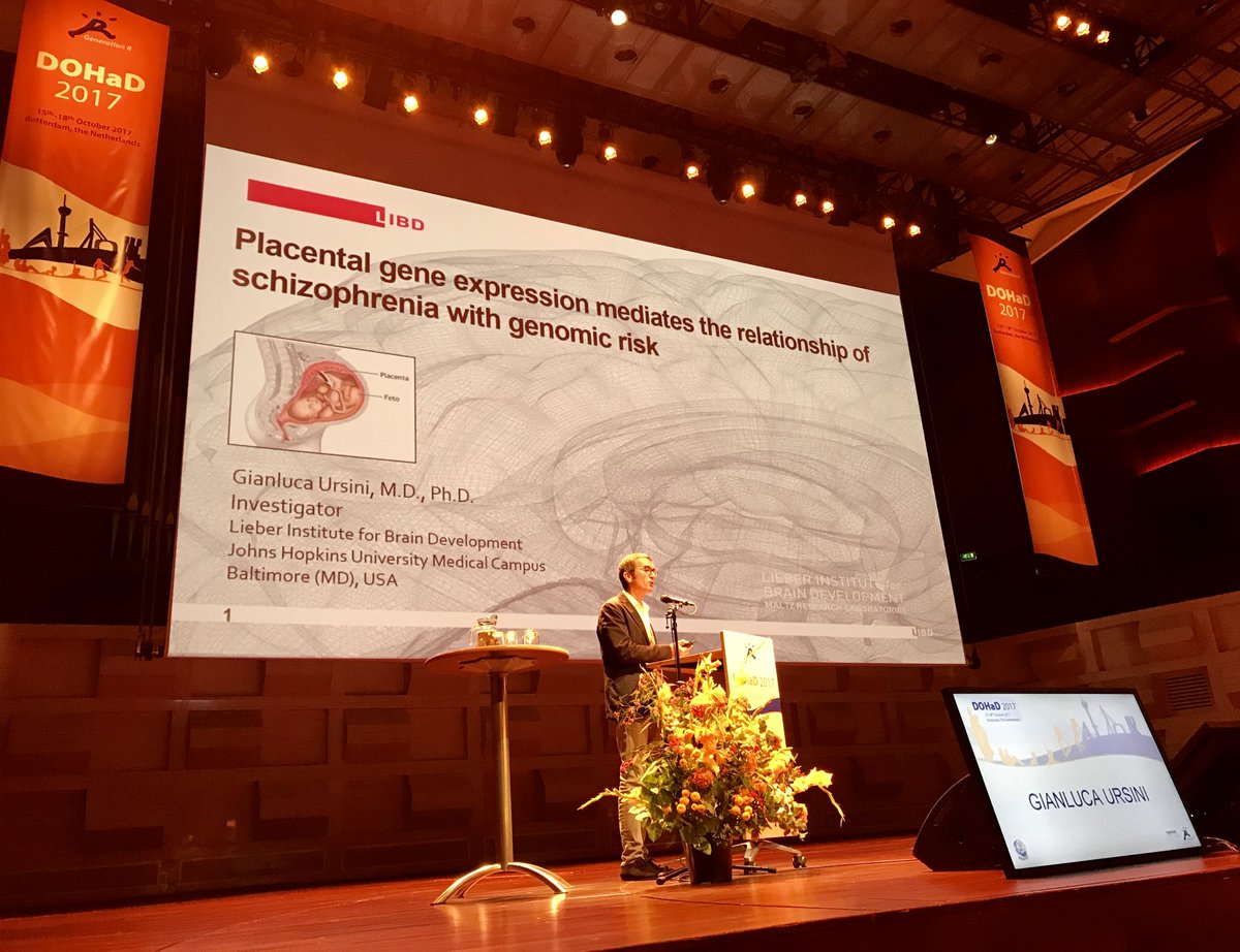 LIBD Investigator Gianluca Ursini presenting on brain &amp; placenta genetics interacting in #schizophrenia at #DOHaD2017!