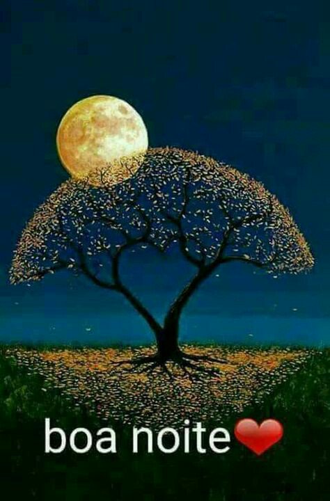 #ParceirosBeta  Boa noite