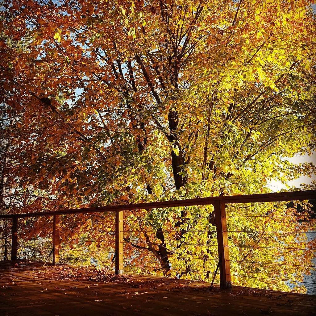 MatthewBick's tweet photo. Fall might be my favorite time of year at the lake. Lovely late afternoon a few weekends ago. #fallishere #fallcol… https://t.co/nQOvujCnvS https://t.co/r08TT7wvhB