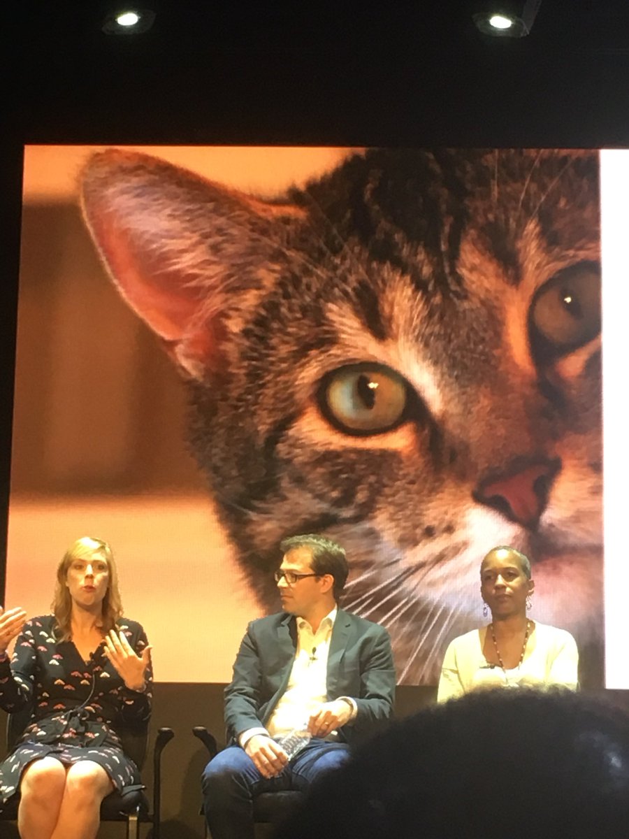 bartl's tweet photo. Great day at #SmartSocialSummit ! Had a great time on my panel, including having a cat picture taken I’ll never hear the end of... https://t.co/7l4nQRKsKm