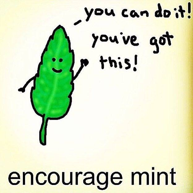 sfstatecares's tweet photo. Sending out some encourage-mint to you all during midterms! You can do it, you got it! https://t.co/FWWU58l7bB