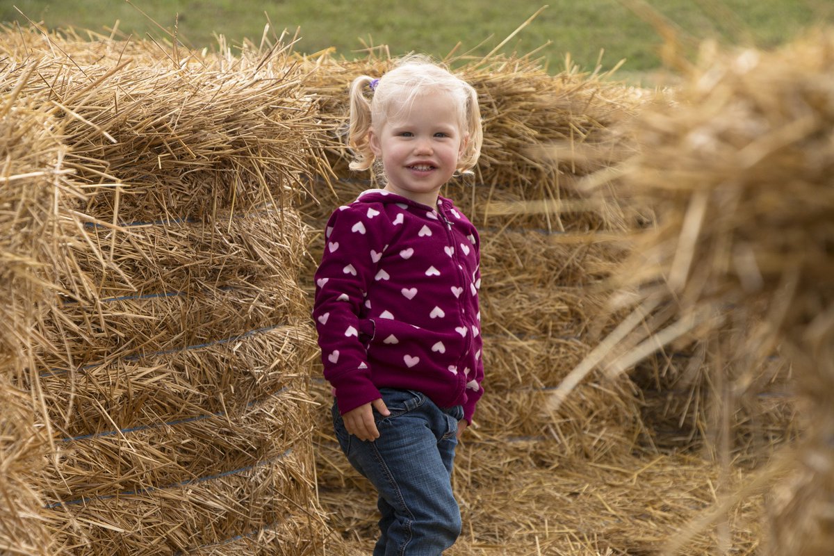 My daughter enjoying the "fall into nature" festivities at Kelso #p2ptrail <a href="/CH_Comm/">Claire Slateri</a>