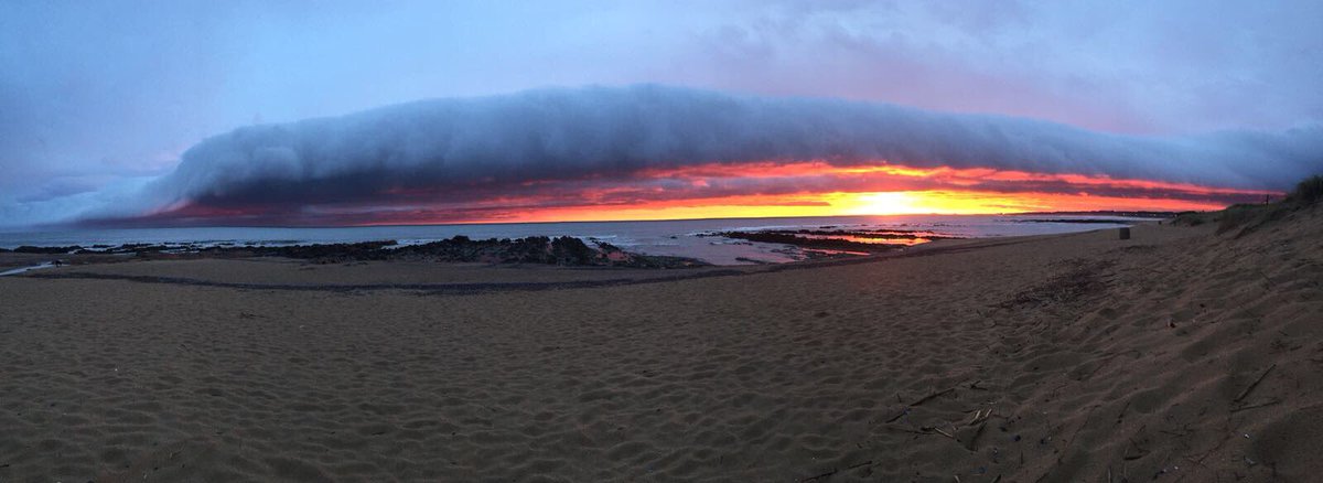 pilicorbo's tweet photo. #elcabito #LaPaloma https://t.co/0XWL0kI4JX