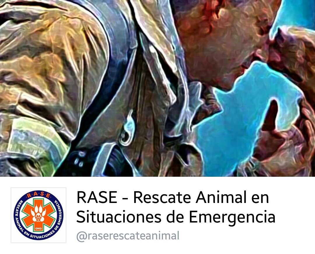 RASErescate's tweet photo. Hemos asumido la coordinación de un grupo de voluntarios de Barcelona. Seguimos trabajando 💪💪 Info y consultas 👉👉https://t.co/qJ9aEK1Bak https://t.co/JGiCnohGb2