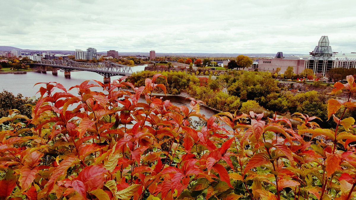 Trish_Golden's tweet photo. The colours are popping now. #fallcolours2017 https://t.co/K8PqM64eKo