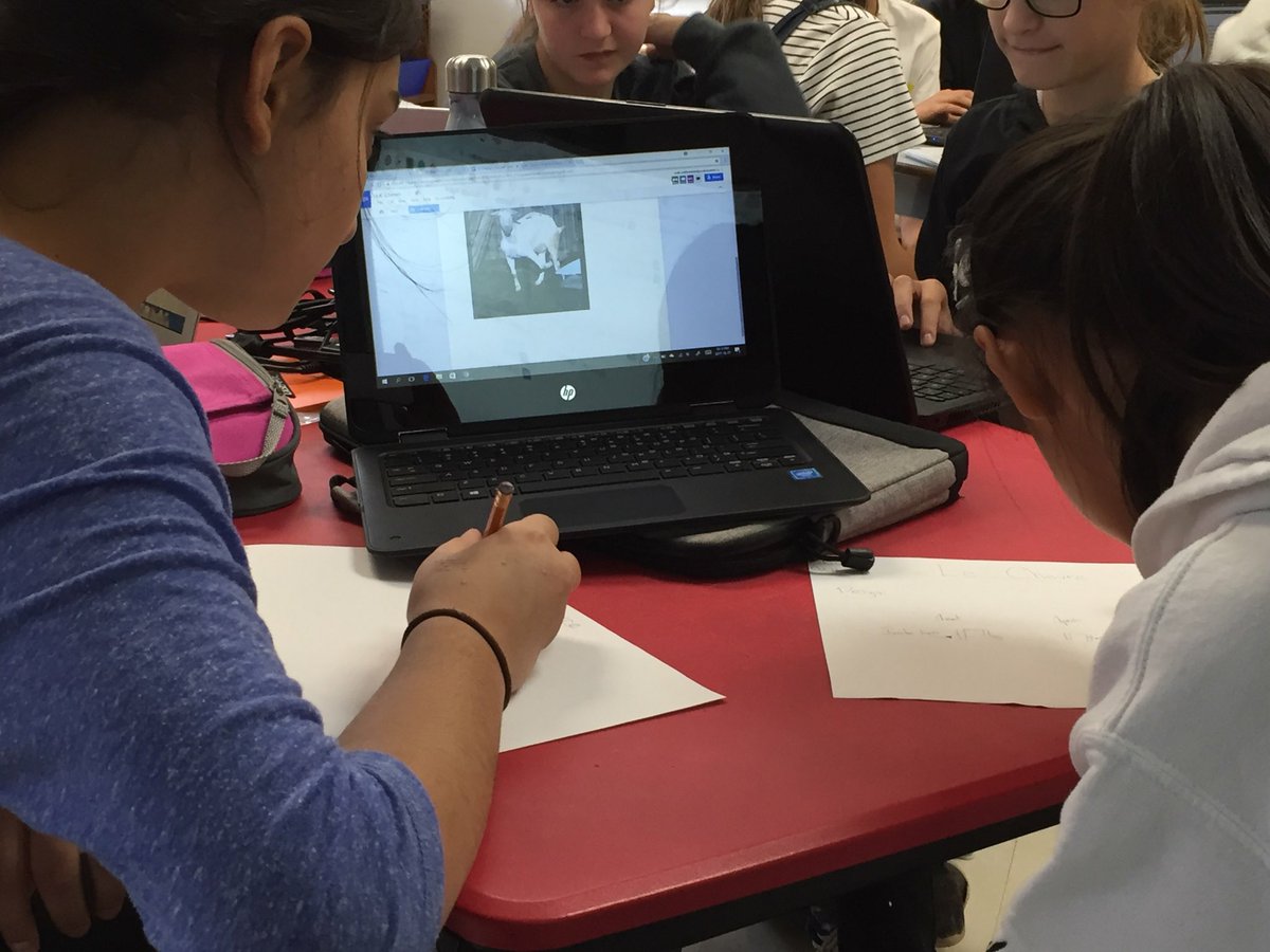 AllSaintsOCSB's tweet photo. Solving real world problems - can we design a leg brace for a goat with mobility issues? @rolat https://t.co/ozeoZ4KIXq