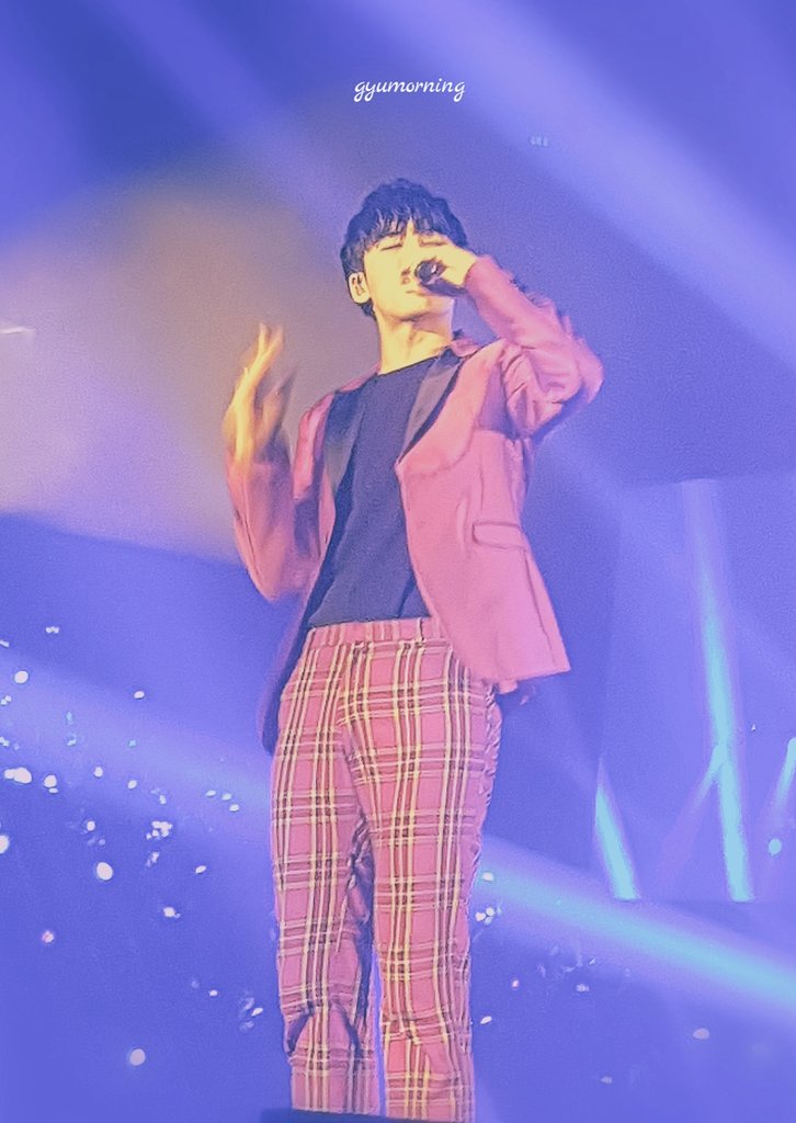 Gyumorning17's tweet photo. You are the reason of my continous survival 좋아해! 아주 많이 민규씨!! 사랑한다💕 #DiamondEdgeinManila #CheckinManilaCity #세븐틴 #민규 #Seventeen #Mingyu https://t.co/021ll1xROk