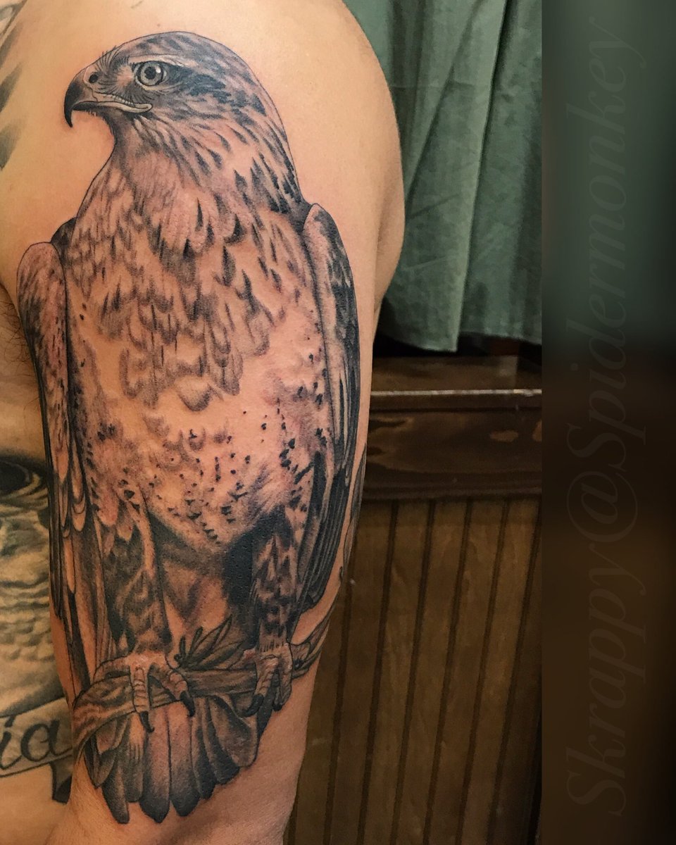 ninjatat's tweet photo. Hawk tattoo I did. #hawk #hawktattoo #tattoosbyskrappy #skrappyatspidermonkey #blackandgreytattoo #olympiaartist https://t.co/zlbBVOPq8h