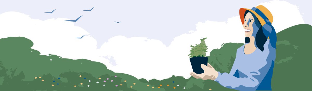 download designing for cisco internetwork solutions (desgn)