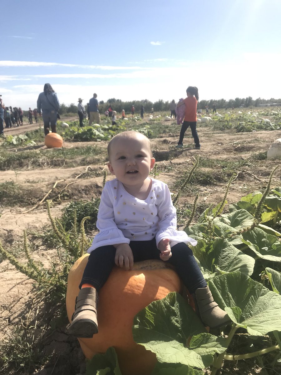 MaddyZahn's tweet photo. HAPPY FIRST BIRTHDAY to the best thing to ever happen to me ❤️❤️❤️ https://t.co/lT4m9yNfVj