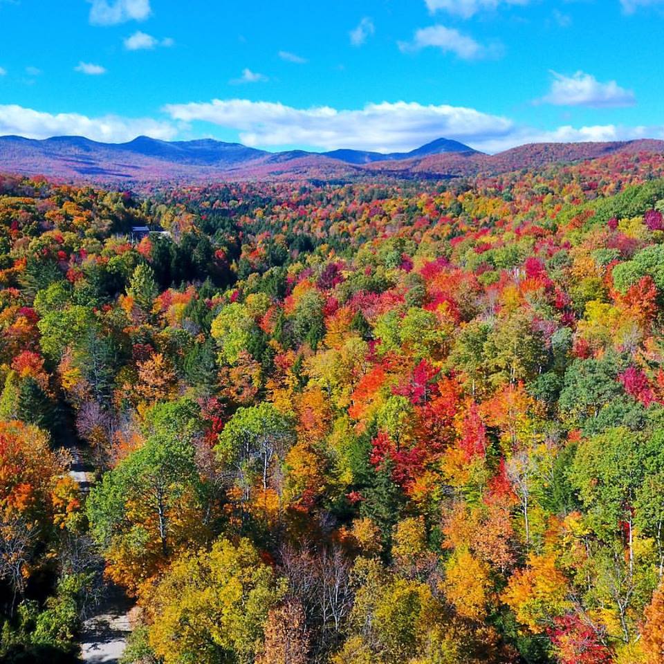 Grand Senior Living tweet media