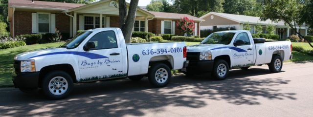 BugsByBrian's tweet photo. Bugs by Brian Locally Owned and Operated https://t.co/nrUVQeVNEC #SaintLouisMO #PestControl #Exterminator https://t.co/cnqkXLh7KJ