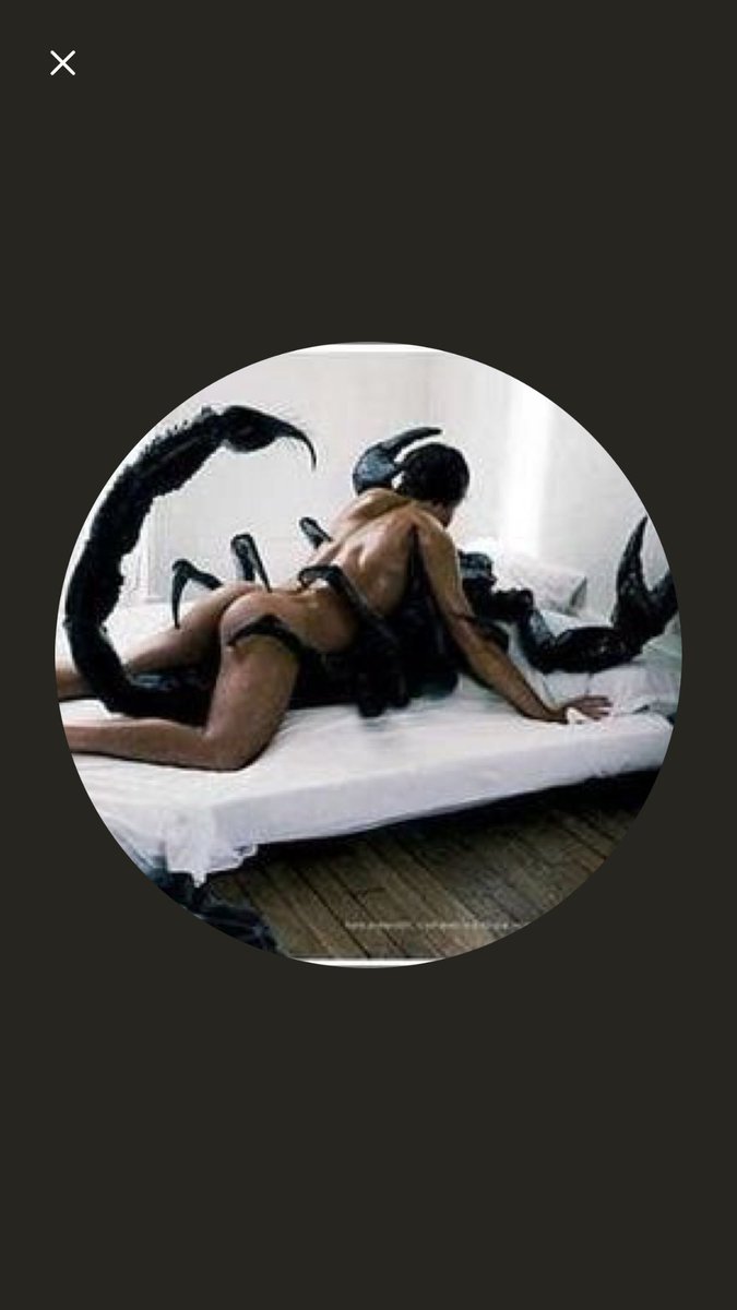 QuaedamVeneni's tweet photo. {} I need explanations. {} https://t.co/bAjqLUnAta