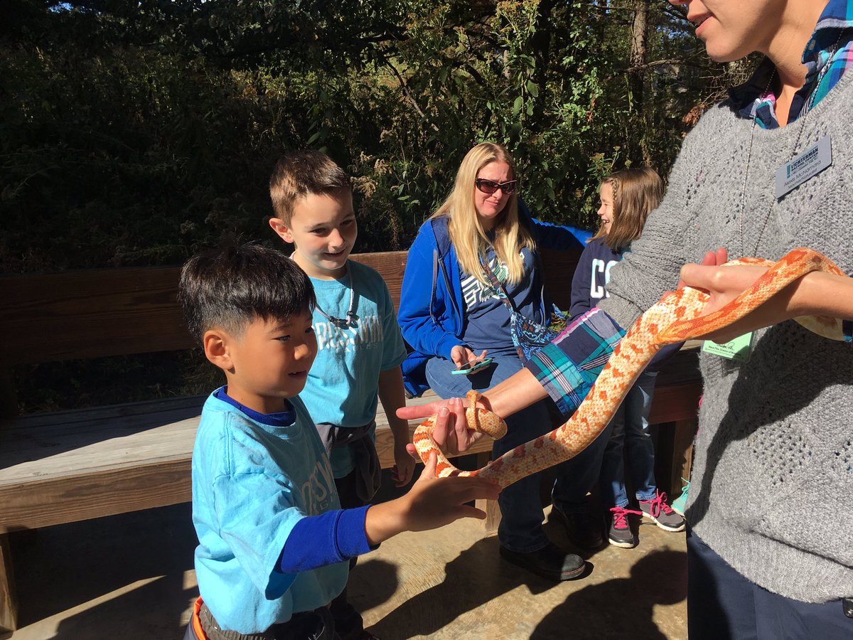 PmorrisMichelle's tweet photo. Fun day at Lichterman Naturr Center! https://t.co/6ENcYwKR2Y