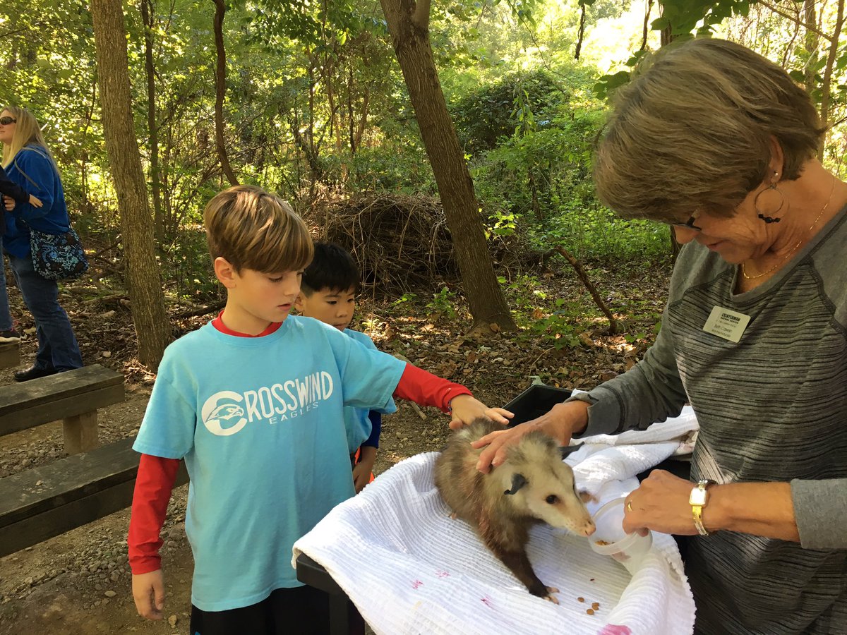 PmorrisMichelle's tweet photo. Fun day at Lichterman Naturr Center! https://t.co/6ENcYwKR2Y