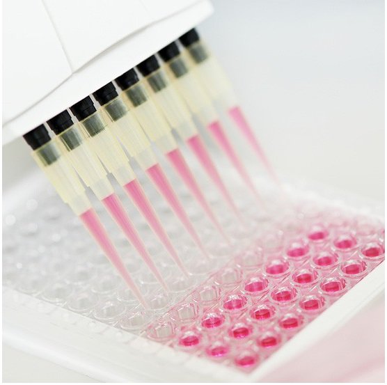 AnogenYes's tweet photo. Click to see Anogen's Online Store! https://t.co/jP2NRUfGaB
#Cytokines #biotech #Proinflammatory #Eliskits #featureproduct https://t.co/WKlRpO2Gsk