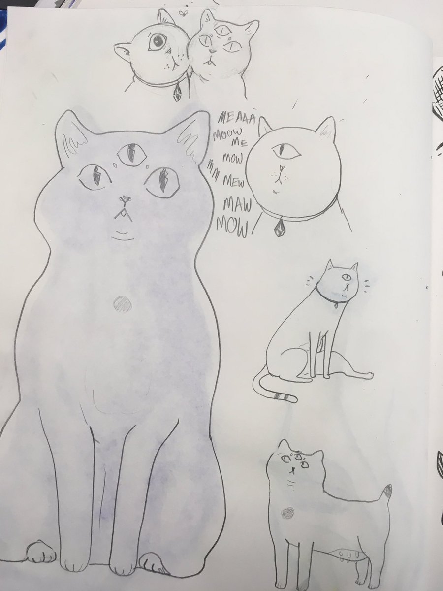 my friend drew a witch and we gave her cats. their names are crusta and toob sock 