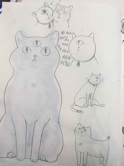 my friend drew a witch and we gave her cats. their names are crusta and toob sock 