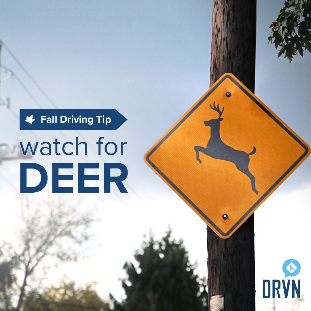 DRVN app on Twitter "It’s the beginning of deer breeding season. Deer