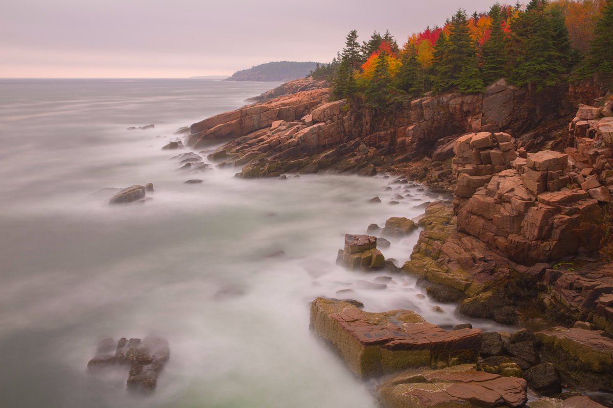 Ocean waves lap at a rocky coastline with fall colored trees above it.