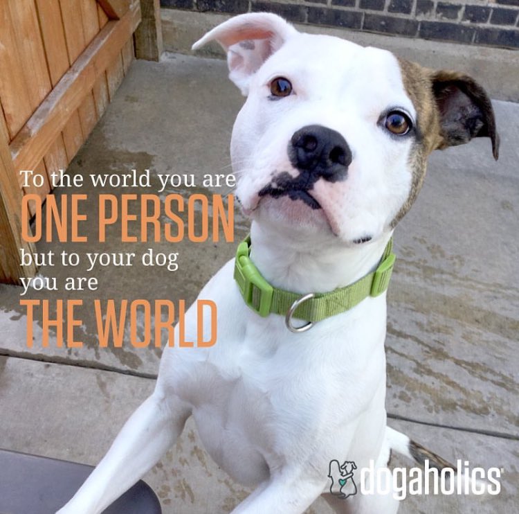 Frank is moving further away in the city and we will miss him!  Come see us soon!