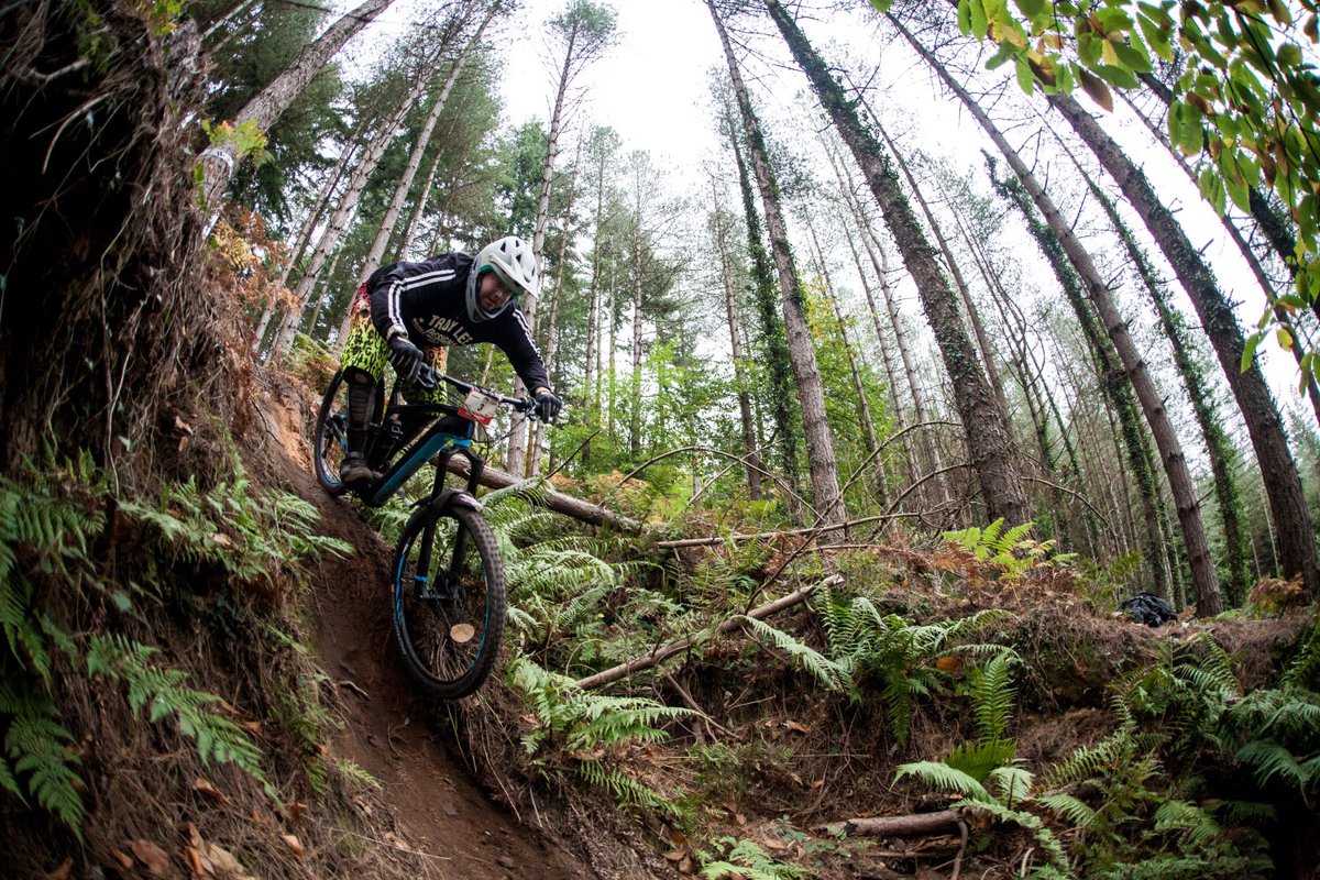 Race co staff member ric giving it some beans <a href="/minienduro/">Mini Enduro™</a> fod Sunday in the ebike class for 3rd overall.