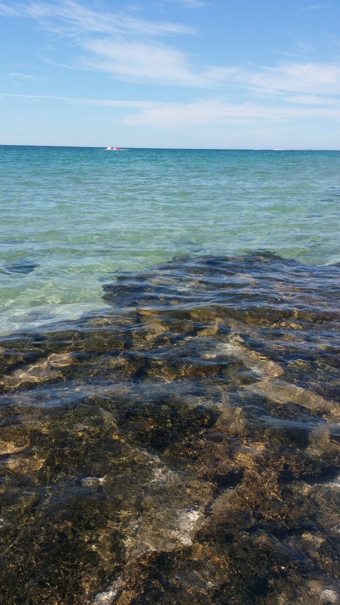 AlcntaraEapino1's tweet image. @PPMEXICO