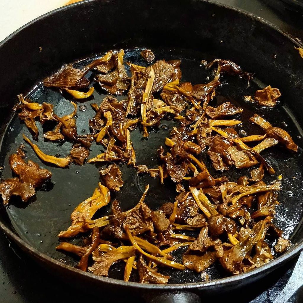 Offgrid_se's tweet photo. It smells delicious in the kitchen. Cooking mushrooms. #mushrooms #delicious #forrest #castiron #castironpan #offg… https://t.co/LJ4v51Y4sl https://t.co/yNg1EusxEH