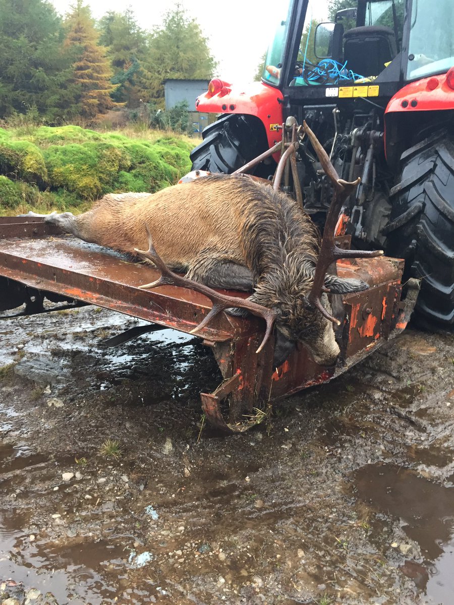 rovinceuk's tweet photo. Had to call the tractor in for this one  #Scotland #Redstag #swarovski #rovince #antitick https://t.co/WatPDhMIRD