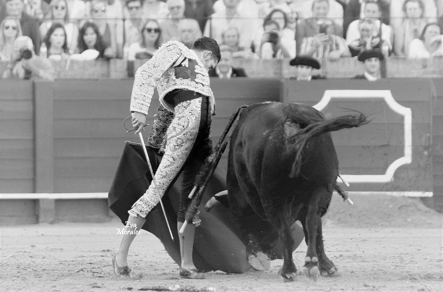 Laliturgia's tweet photo. Natural #recuerdo2017 #sevilla @aletalavante @infotalavante https://t.co/9cY52dsokr