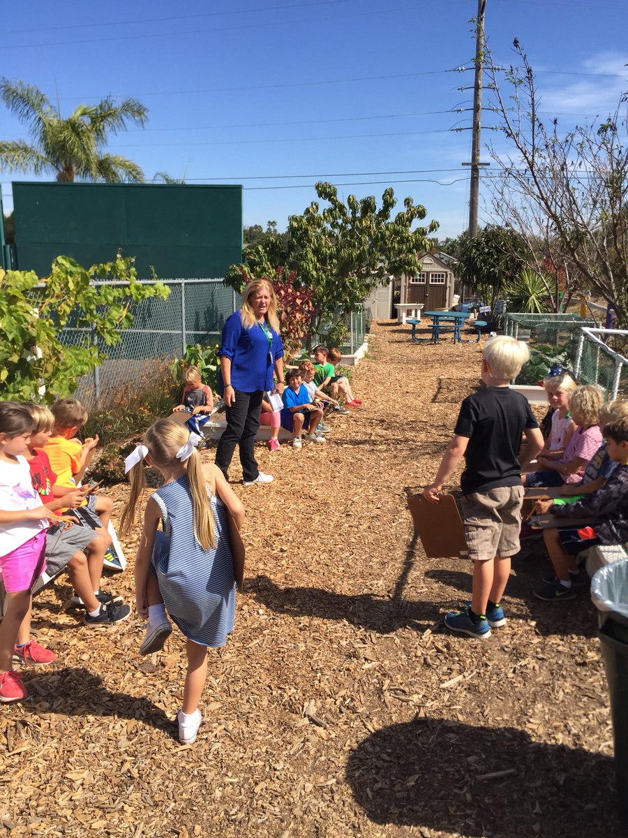 cebrightedu's tweet photo. 1st grade #problemseekers in our learning garden with @TamaraLRadford writing opinions about ways to improve it #rm17tigers #delmarhillsk6 https://t.co/inGl8buXxr