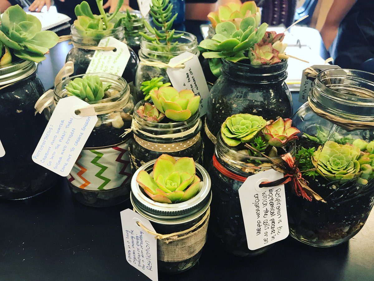 batesanna30's tweet photo. Connecting Photosynthesis & Cell Respiration with Succulent terrarium gardens. #PlantProjects #TakeHome π±π΅β
#TeachAg https://t.co/chg4xu7oFX