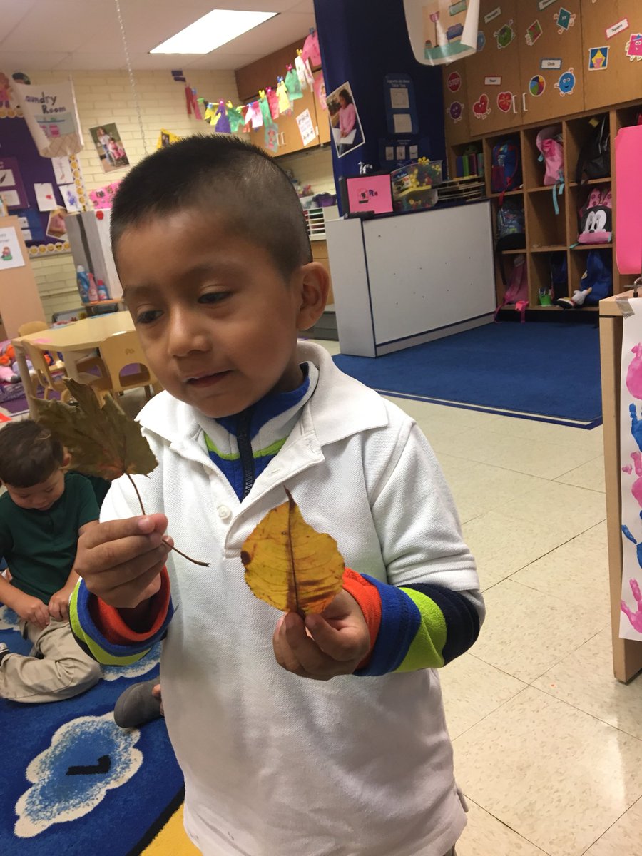 MrsDatreLB's tweet photo. Sharing more 🍃Fall🍂 findings🍁 to add to our collection! #nature #comparingsizes #leaves https://t.co/a7nr1qdat8