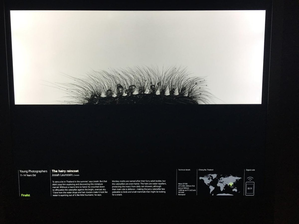 Launstein Imagery tweet media