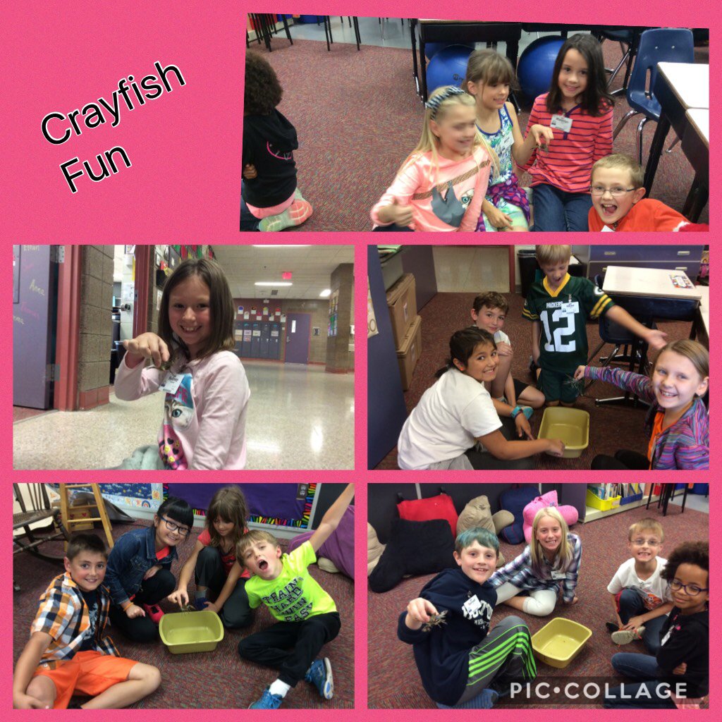 larsondaleyfb's tweet photo. Crayfish Fun #sciencerocks https://t.co/jIR9SXxMZt https://t.co/O6v9MJiFvj