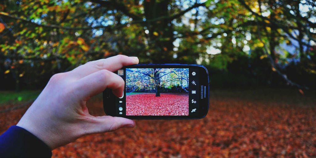 Catalyst Canada tweet media