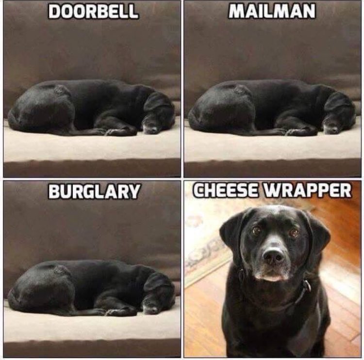 PendletonNW's tweet photo. Don't just rely on your dog when 👀 at security for your home!!
#Locks #CCTV #SensorLighting #Alarms #SecureProtectPrevent #CrimePrevention https://t.co/hPRNORPaDn