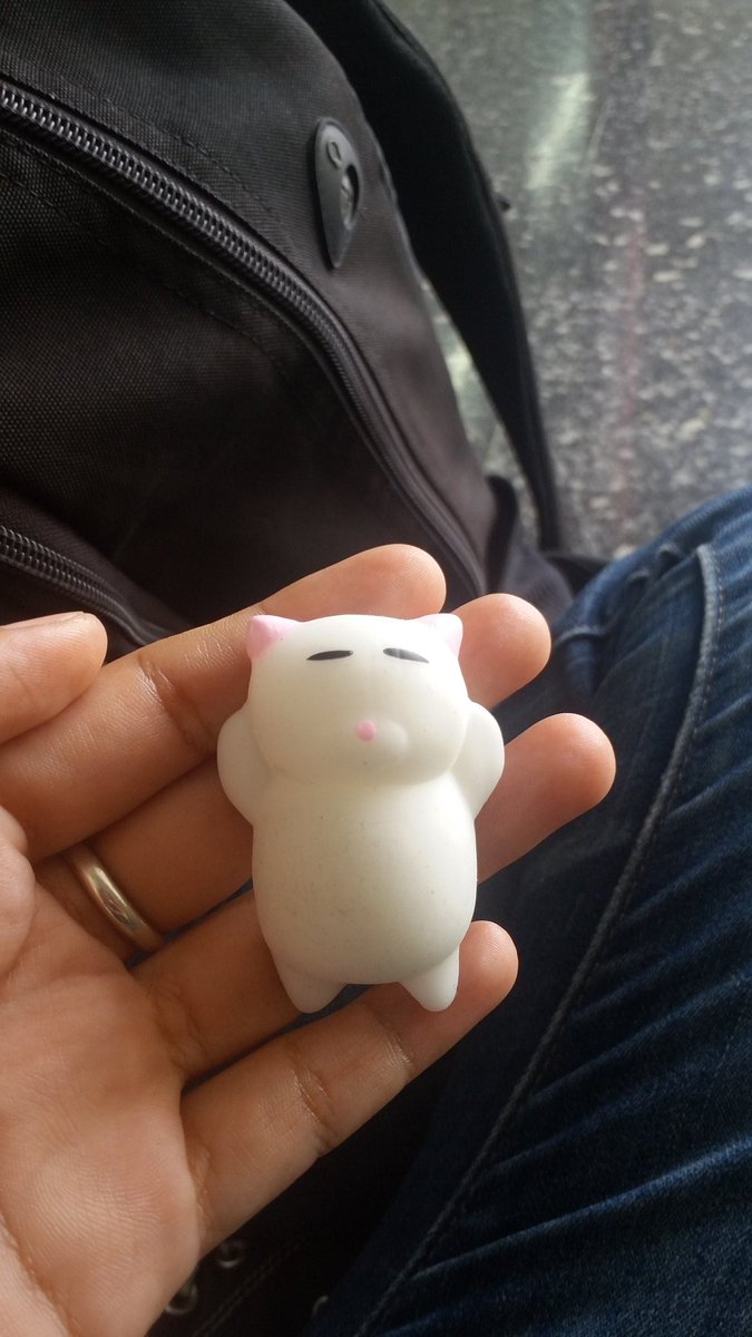 surprisedcat20's tweet photo. #SquishyCat ๐ https://t.co/EMltfEqDOS