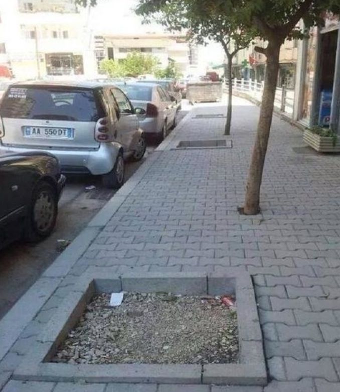 Torren___'s tweet photo. Si Benzema fuera jardinero. https://t.co/drGjLZBvc1