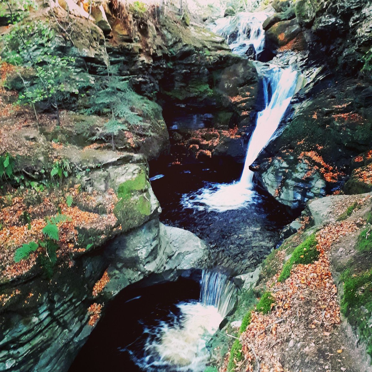 shamblesklutz's tweet photo. This place never disappoints. Always special. Magical #acharn #waterfall #perthshire #bigtreecountry #scotland @SNHnortheast @VisitScotland https://t.co/6vTmB76821