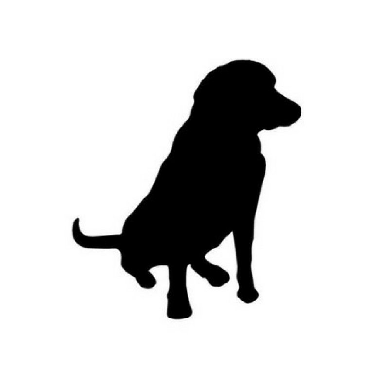 deadmansdiaries's tweet photo. I saw a black dog. https://t.co/5ZpiWWIHIL https://t.co/i6J8extd4U