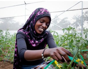 crowd_360's tweet photo. Could the increasing need for data be harmful to farmers and their communities? If so, how? #EndHunger https://t.co/pzDzYZBhlu https://t.co/kK3ujmcTJ8