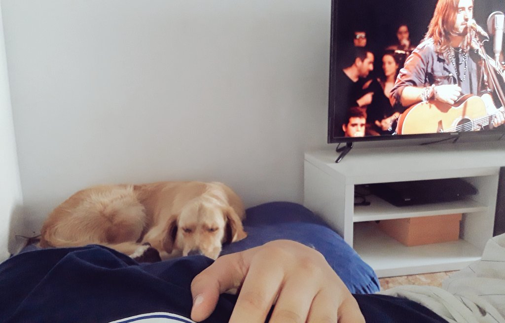 Ten en cuenta tu pasado sin dejar de luchar por tu futuro