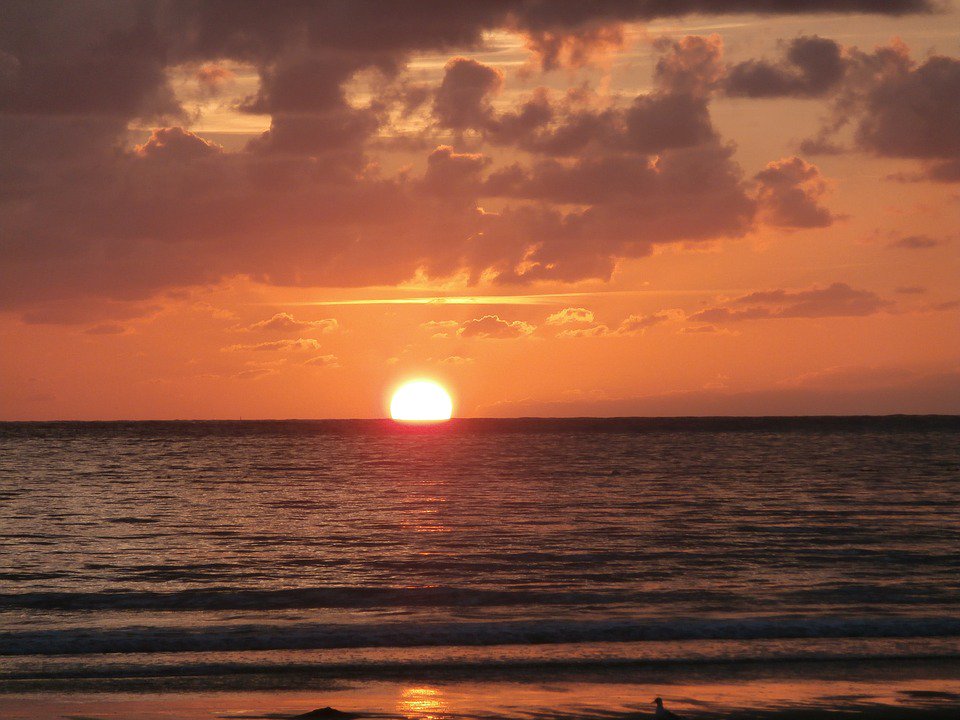 #buenastardes, feliz lunes, feliz tarde #autopartesagca #repuestos #repuestostoyota #repuestosmopar #toyota #mopar #lunes #venezuela