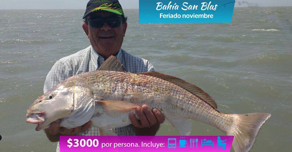 RutadePesca's tweet photo. Aprovecha el #feriado de #Noviembre para pescar en #SanBlas | Mas detalles 🚌☕🍽🏘🎣> https://t.co/kqHcW06LG4 https://t.co/WpDF51Bo9i