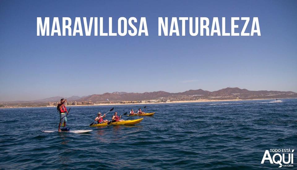 TEALosCabos's tweet photo. Vivir en #LosCabos es un privilegio, podemos gozar de nuestra maravillosa naturaleza haciendo distintas actividades. #TodoEstáAquí https://t.co/kN9ix9XLNg
