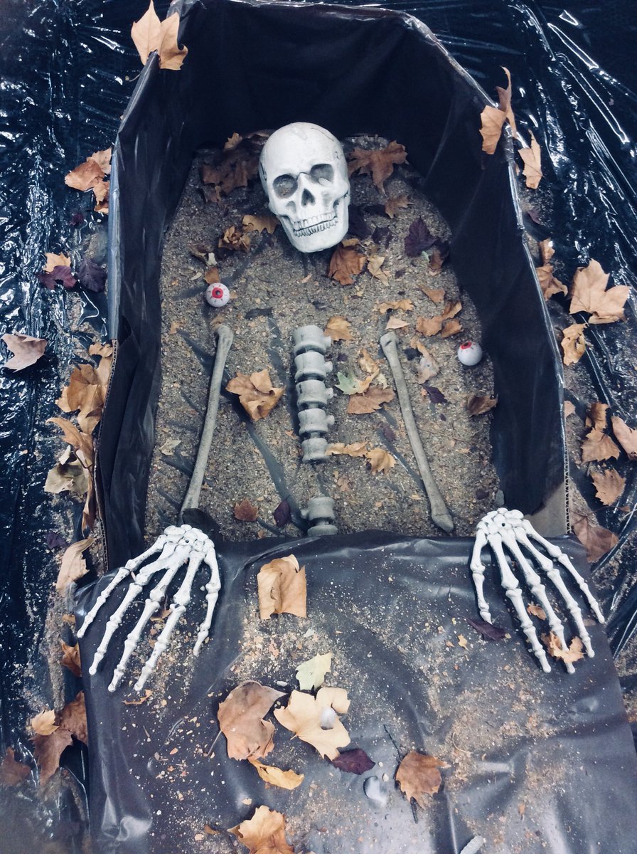 LifeislikeMIAMI's tweet photo. SCARY NEWS...Today @CEIP_Pinocho a discovery of a human skeleton belonging to, we think the most #HauntedHouse in #Torrejóndeardoz! #BOO 💀👻 https://t.co/zS6yEREOkz