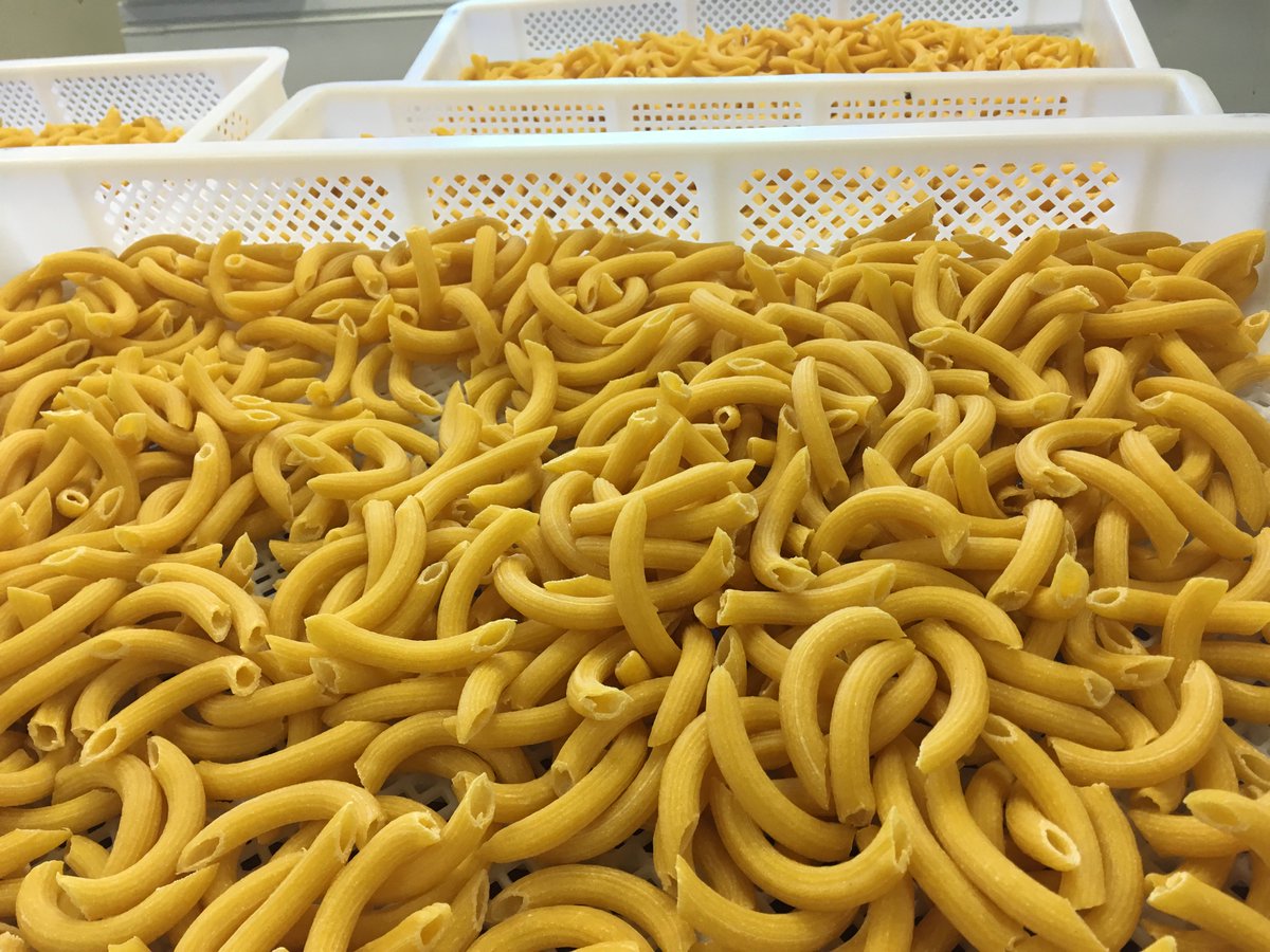 Today's #NationalPastaDay! No better way to celebrate than visiting a Calandra's restaurant for our Pasta Night for half price pasta dishes!