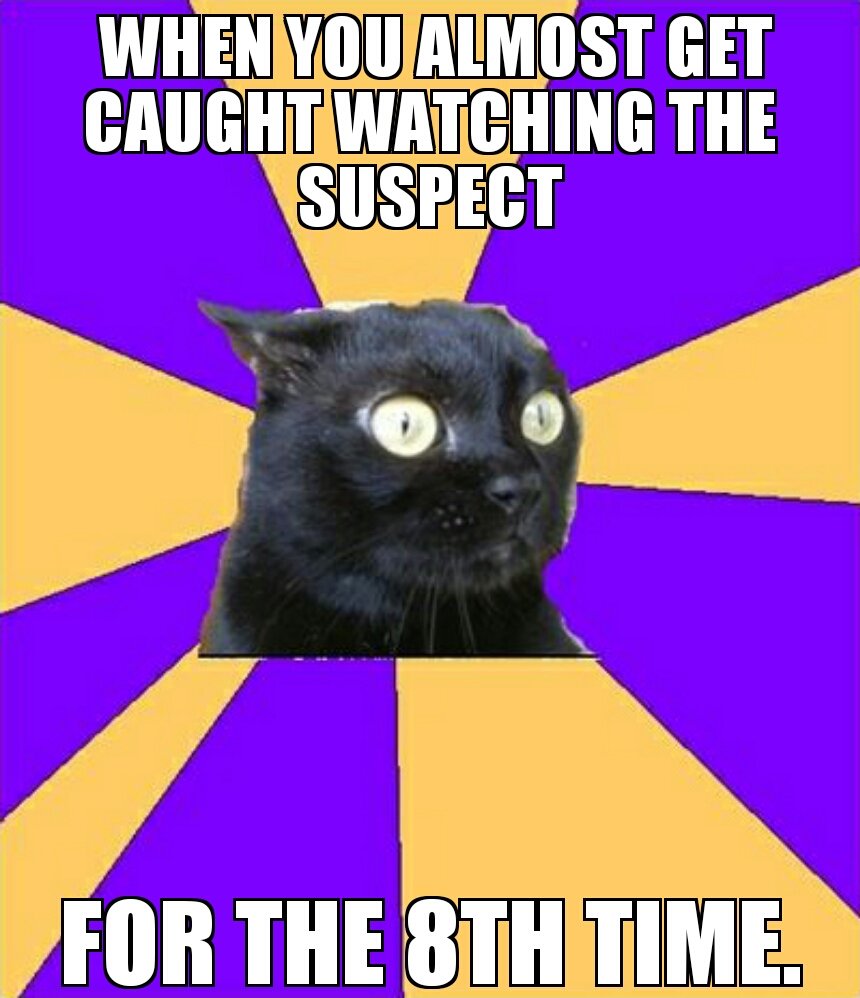 OnlyLpsKnow's tweet photo. Everyday #OnlyLpsKnow #lossprevention #assetprotection #youcantseeme #nope #lol https://t.co/bia0TK6NXC