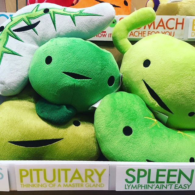 It’s a green Guts party! 💚💚💚 #healthygreens #pancreas #prostate #spleen #pituitary #pancreas #lymphnode #nycc2017 #nycc #comiccon